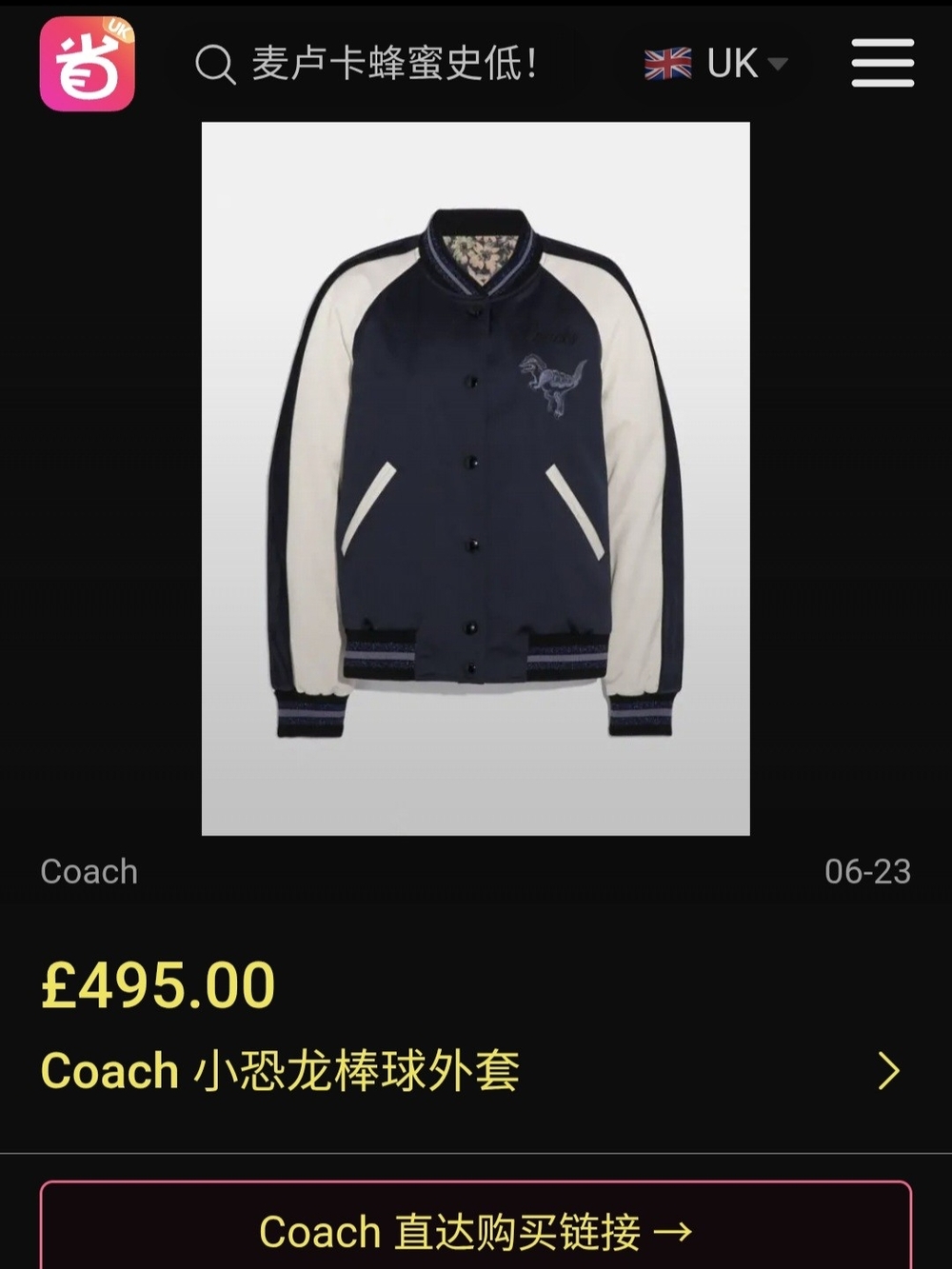 Archival - Limited Edition 2019 Coach "Rexy" Varcity Jacket - Picture 7 of 16